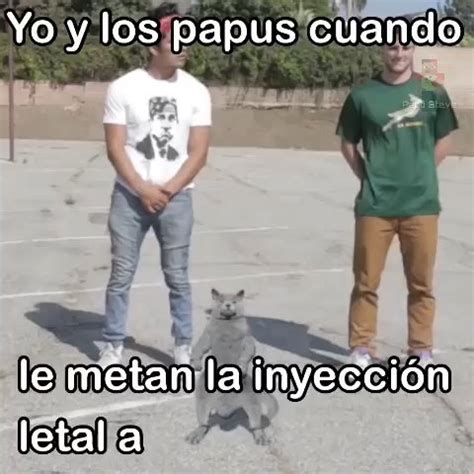 rmfendpguho -site:youtube.com|Hagan chistes acorde a este video .